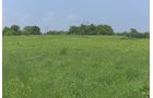 Lake County, Indiana farmland - LAND AUCTION - 147+/- ACRES OFFERED IN 3 TRACTS IN LAKE COUNTY, INDIANA